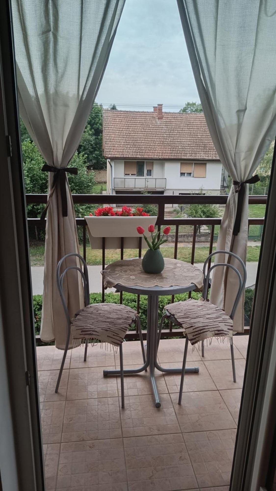 Dora Apartman Palić Extérieur photo