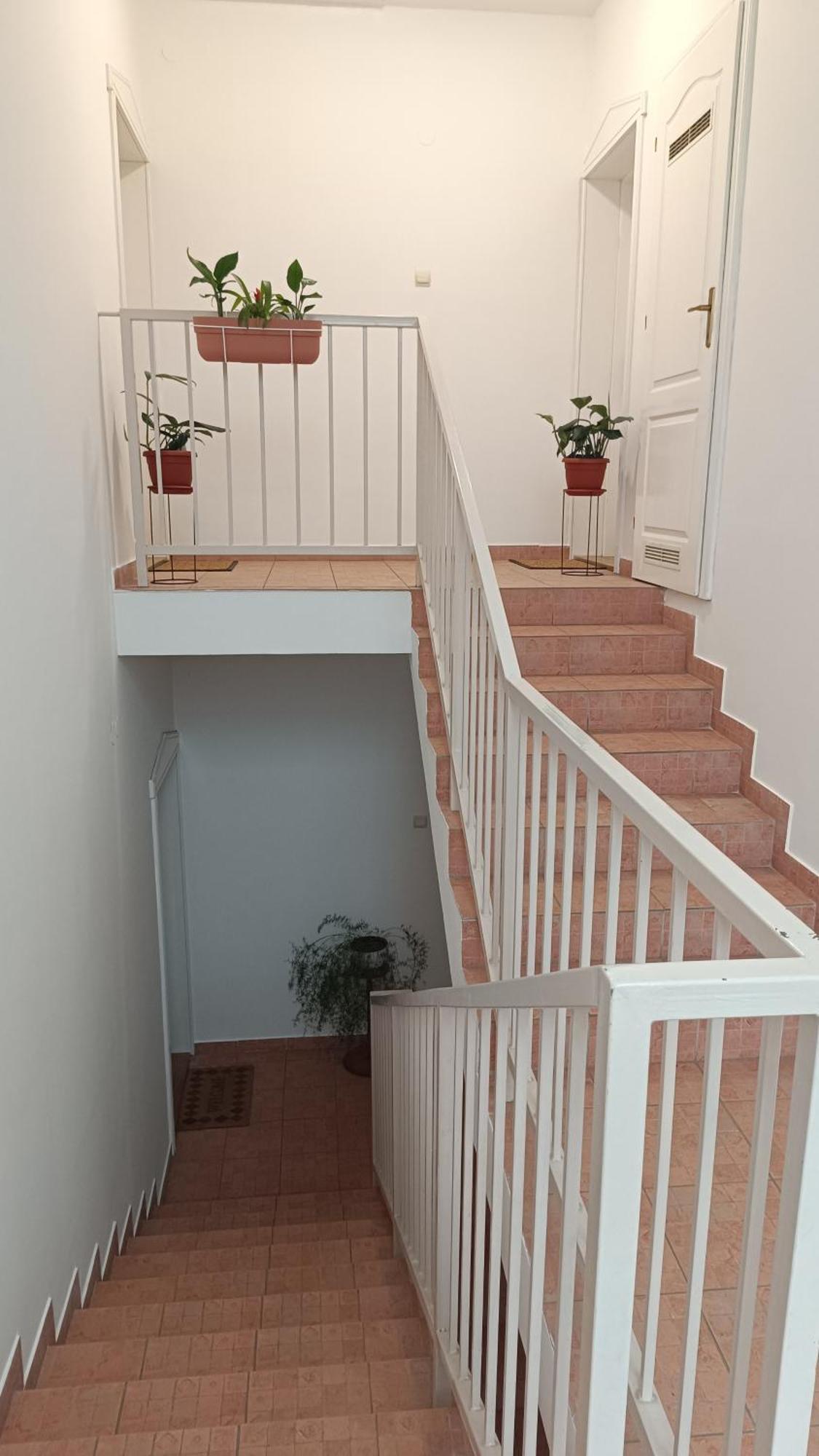 Dora Apartman Palić Extérieur photo